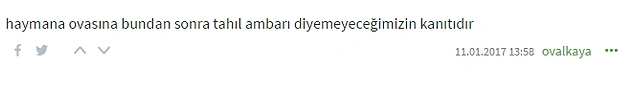 Bir Zamanlar 'Tahıl Ambarı' Olan Türkiye Buğday İthal Edecek, Peki Neden?