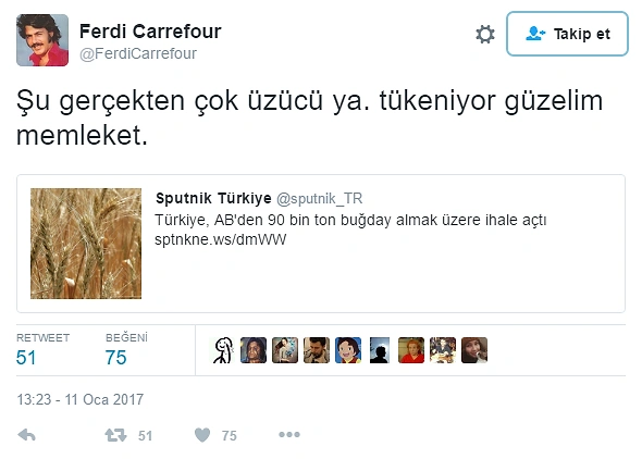 Bir Zamanlar 'Tahıl Ambarı' Olan Türkiye Buğday İthal Edecek, Peki Neden?