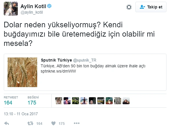 Bir Zamanlar 'Tahıl Ambarı' Olan Türkiye Buğday İthal Edecek, Peki Neden?