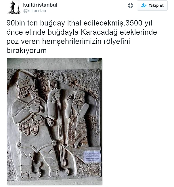 Bir Zamanlar 'Tahıl Ambarı' Olan Türkiye Buğday İthal Edecek, Peki Neden?