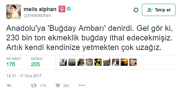 Bir Zamanlar 'Tahıl Ambarı' Olan Türkiye Buğday İthal Edecek, Peki Neden?