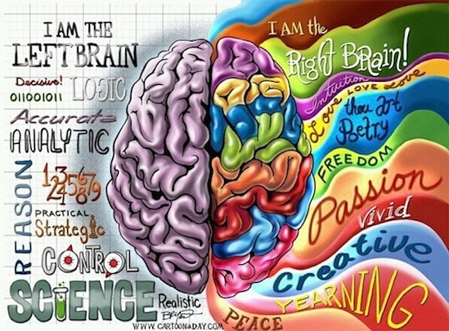 9. There are no clear differences between the right and left parts of out brain.