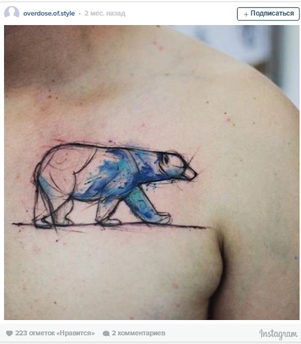 6. Прекрасный белый медведь