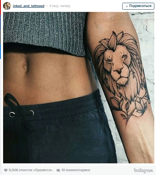 7. Царственный лев