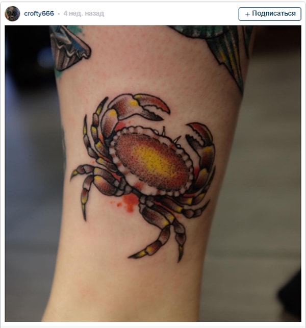 18. Братец-краб