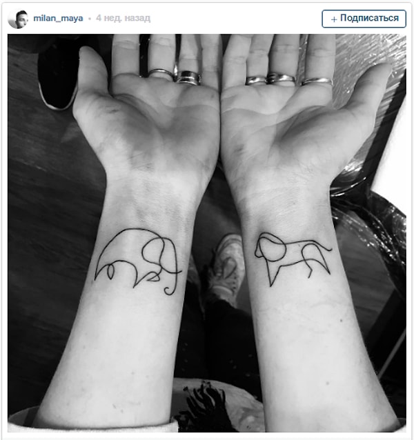 17. Четвероногие друзья