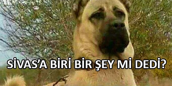 Garip Akımları Bitmeyen İnternetten "Biri Bir Şey mi Dedi?" Kalıbıyla 15 Komik Paylaşım