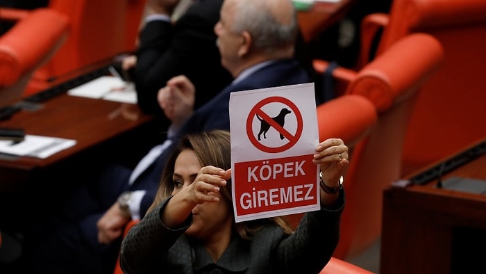 Hayvanseverlerden Meclis'e Tepki: 'Köpek, Bir Hakaret Sıfatı Değildir'