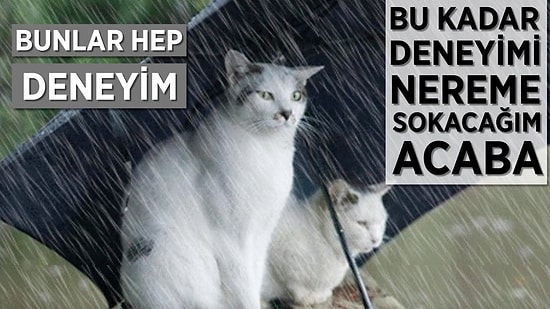 Aslında Hiçbir İşe Yaramayan 10 Teselli Cümlesi