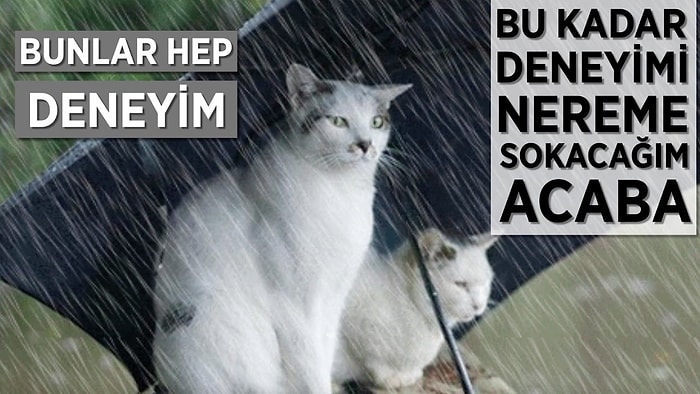 Aslında Hiçbir İşe Yaramayan 10 Teselli Cümlesi