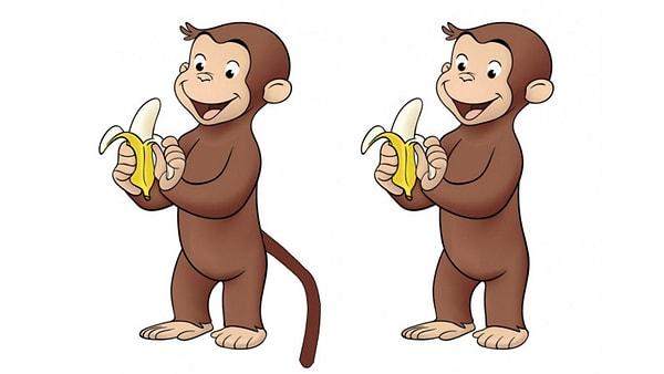 10. Ülkemizde Meraklı Maymun ismiyle yayınlanan Curious George isimli çizgi filmdeki maymunun, insanlar tam tersini hatırlıyor olsa da aslında bir kuyruğu bulunmuyor.