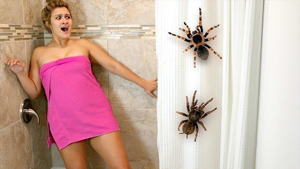 Kız Arkadaşa Acımasız Örümcek Şakası