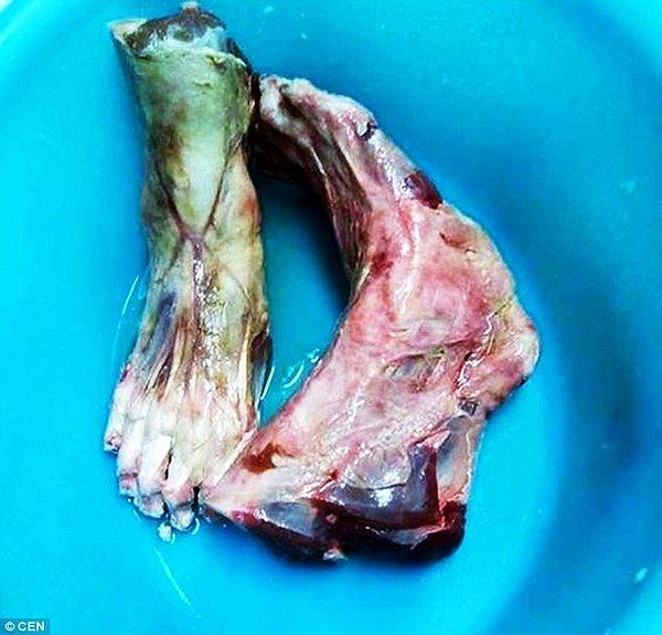 Bir Çin restoranı, çalışanlarından birinin sosyal medyada paylaştığı ve mutfakta çekilen iğrenç fotoğraftan sonra insan ayağı servisi yapmaktan suçlandı.