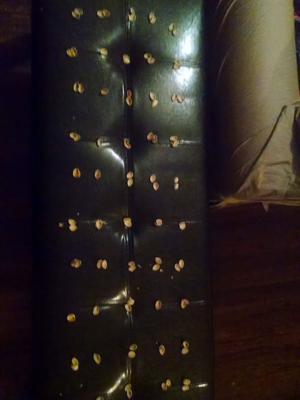 27. "Наверное, не стоило говорить дочери, что "искусство" можно сделать из чего угодно"