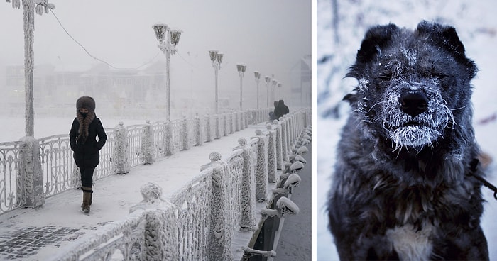 Фотографии из самого холодного места на земле, где температура достигает -71°C