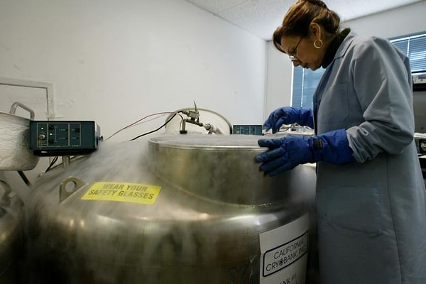 6. Надо сказать, что индустрия подвергается критике не одних лишь ученых.