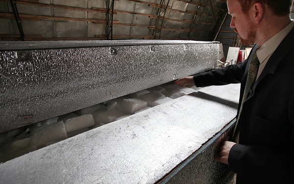 11. На сегодняшний день США и Россия – единственные страны, обладающие средствами, позволяющими совершить криоконсервацию.