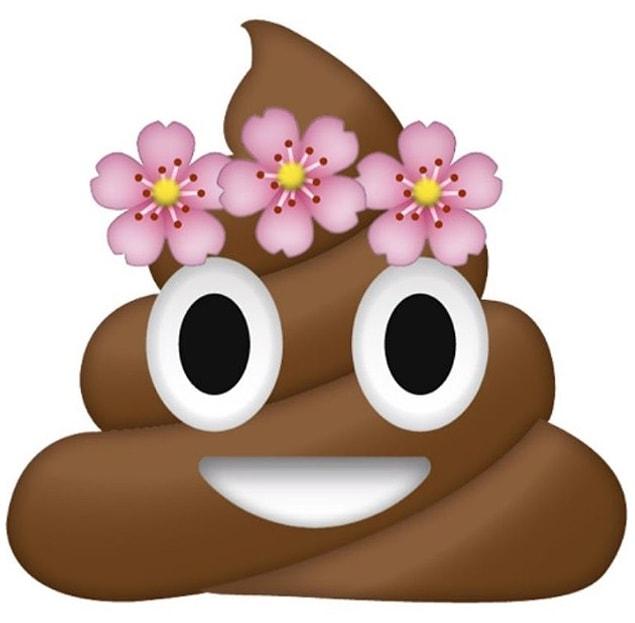 12. Your favorite emoji is poop.