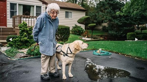 Annabelle Weiss 92 yaşında ve savaş görüp geçirmiş bir gazi kadın; Joe ise akıllı mı akıllı bir rehber köpek.