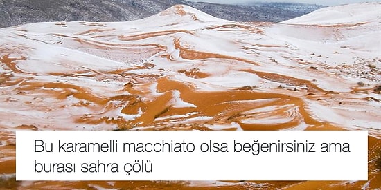 Bitmeyen Akım 'Neresi Olsa Beğenirsiniz?' Sorusuna Mizahla Cevap Veren 15 Kişi Daha