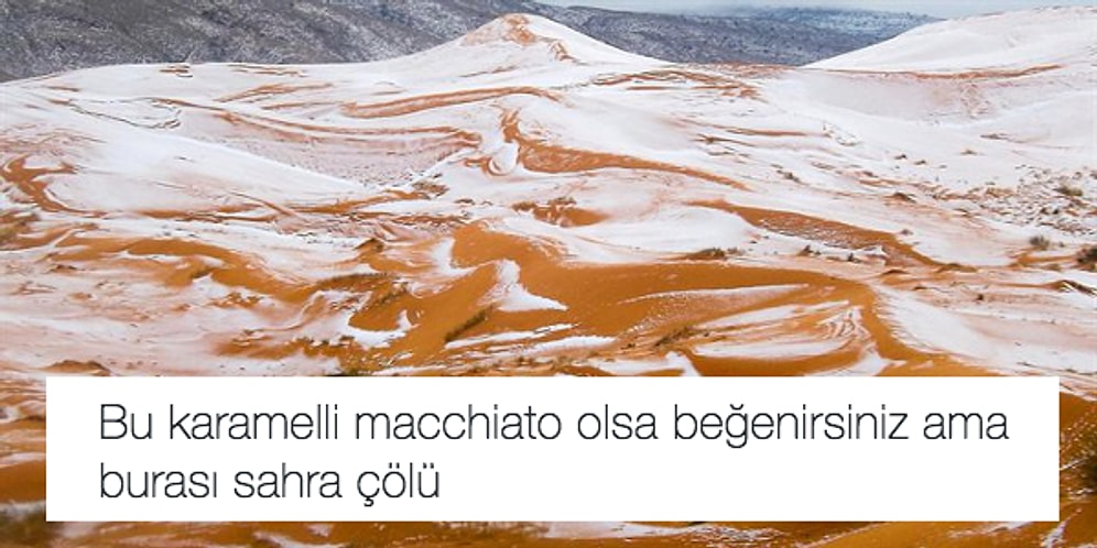 Bitmeyen Akım 'Neresi Olsa Beğenirsiniz?' Sorusuna Mizahla Cevap Veren 15 Kişi Daha