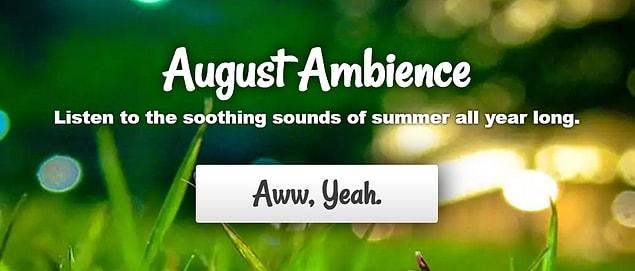 August Ambiance