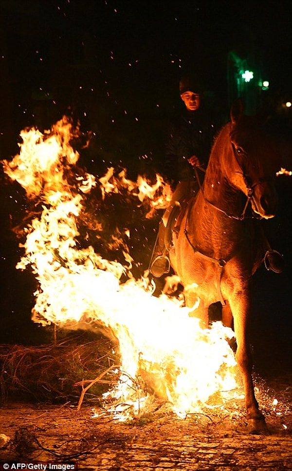 5. Сотни наездников принимают участие в ежегодном фестивале Las Luminarias
