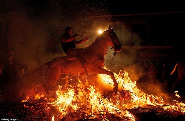 9. Однако сами испанцы утверждают, что животные не испытывают никаких страданий, прыгая через костры, которые стали разводится гораздо больше и выше для привлечения туристов