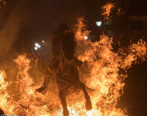 11. Лошадей также обливают водой перед прыжком в костер