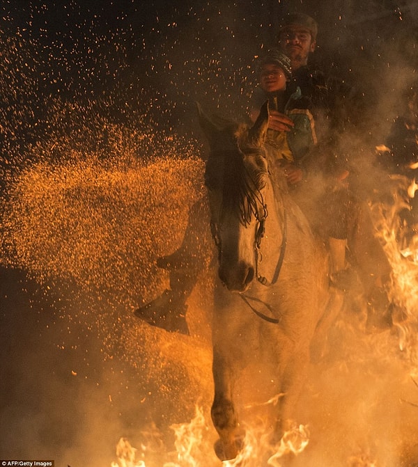 12. Отец крепко держит сына в то время как лошадь прыгает через костер