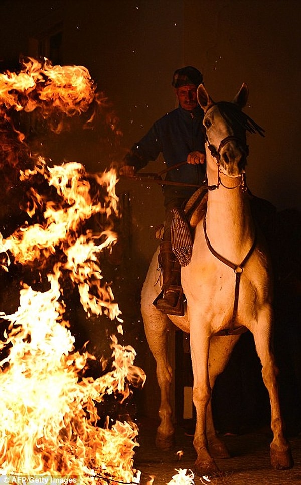 5. Сотни наездников принимают участие в ежегодном фестивале Las Luminarias