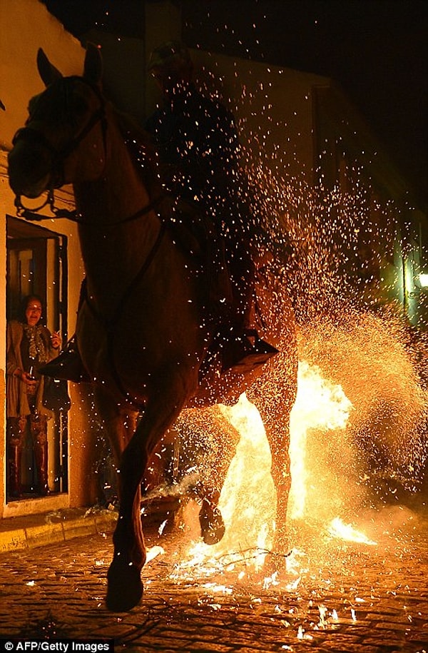 10. Благодаря скорости прыжка животные не получают травм от языков пламени