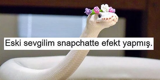 Eski Sevgilisiyle Meselesini Mizahla Süsleyip Sosyal Medyayı Güldürmüş 15 Kişi