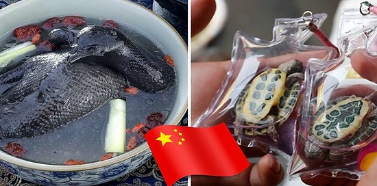 9 самых странных вещей, которые вы можете купить в Китае