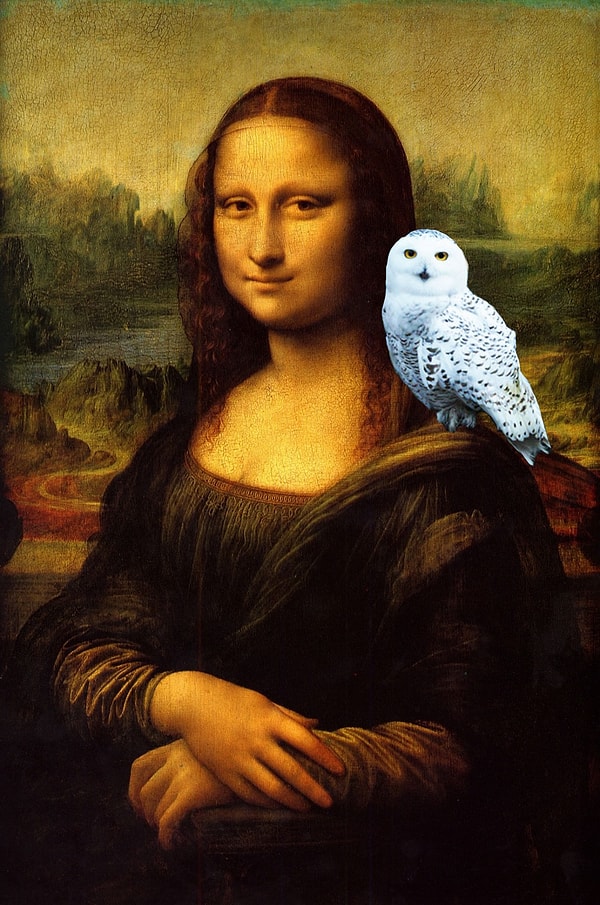 5. Джоконда (Леонардо да Винчи) + Хедвиг (Гарри Поттер)