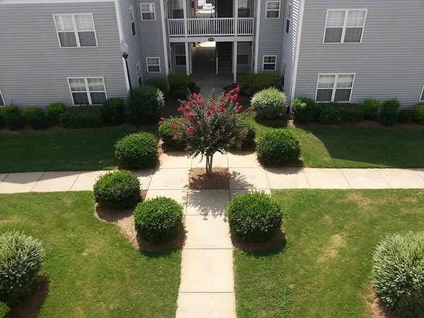 10. Восьмой куст сажать стало лень.