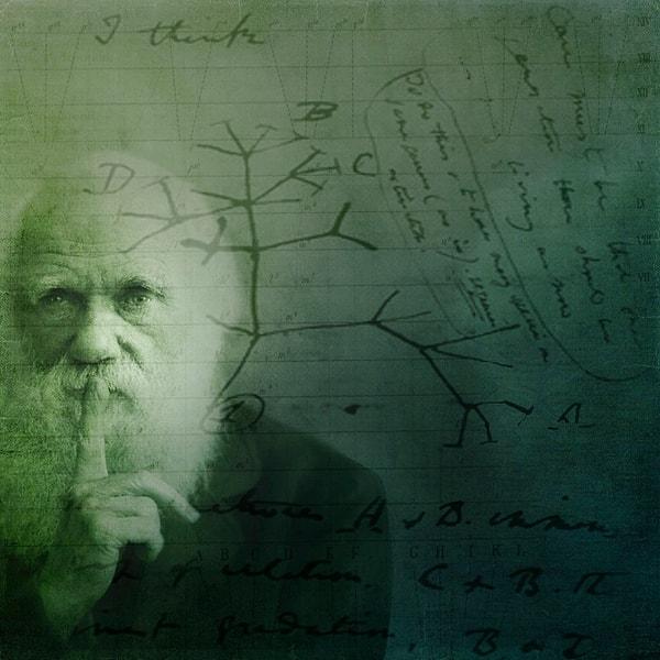 Charles Darwin, İnsanın Türeyişi adlı kitabında bu vakaları, gelişim sürecimizde, evrimsel geçmişimizden sıyrıldığımız nokta olarak değerlendiriyor.