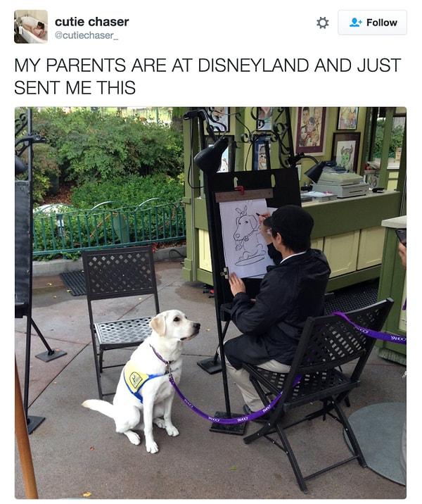 6. Bu ebeveynler ve Disneyland'de çok sevdikleri köpekleri.