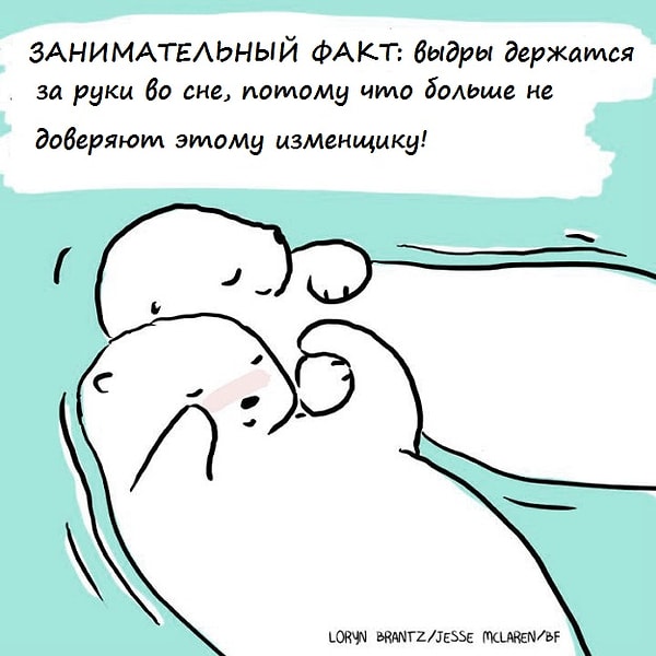 6. Многие люди любят держаться за руки, чтобы показать свою любовь. Выдры делают то же самое, чтобы случайно не уплыть друг от друга во сне
