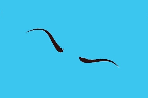 1. Кому принадлежат эти брови?