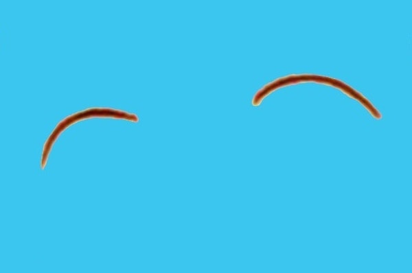 6. Итак, узнаете ли вы эти прелестные брови? Кто их счастливая обладательница?