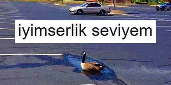 Komik Görselleri Hayatıyla İlişkilendirip Sosyal Medyaya Kahkaha Attırmış 15 Kişi