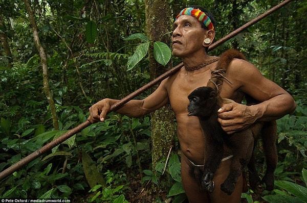 Ekvador 300 farklı maymun türüne ev sahipliği yapan bir ülke. Bunlardan hiçbirinin soyunun tükenme tehlikesi yok.