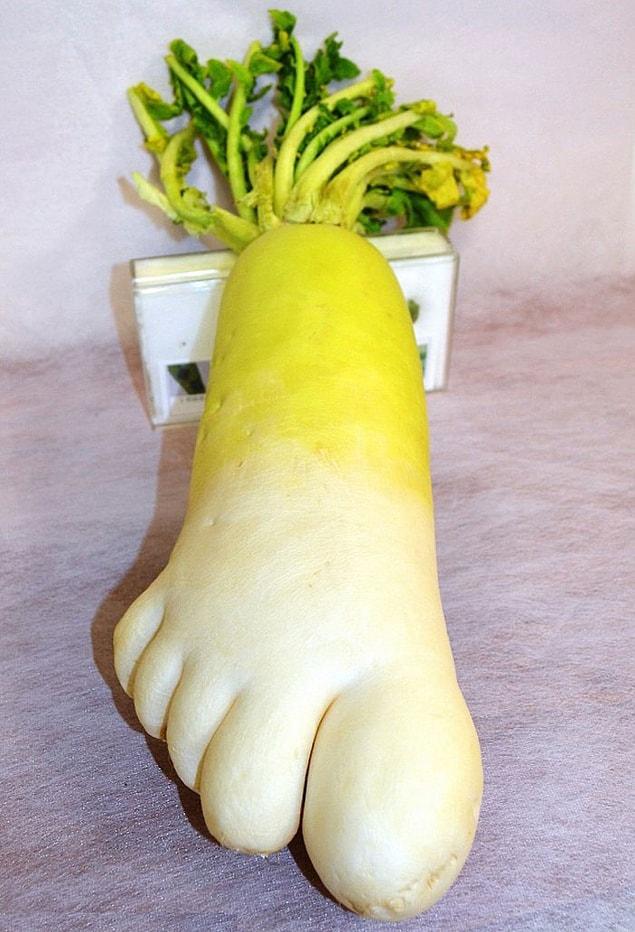 2. And this foot-shaped radish with all its five toes!