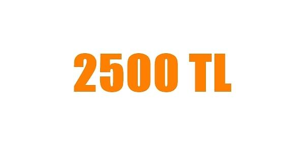 2500 TL!