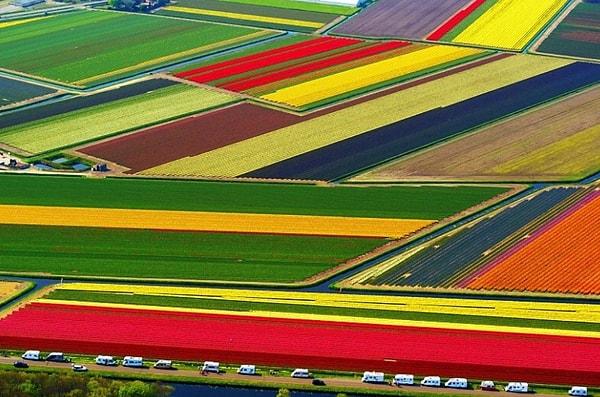 2. Bu açıdan Hollanda önemli bir örnek. Ülke, ABD'den sonra dünyanın ikinci büyük tarımsal ürün ihracatçısı durumunda.