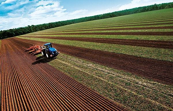 15. Tarımsal bilgi zenginliği, verimli topraklar, yoğun tarım, üretimin kalitesi ve ticaret uzmanlığı sayesinde Hollanda'nın tarım-gıda ürünleri tüm dünyaya ihraç ediliyor.
