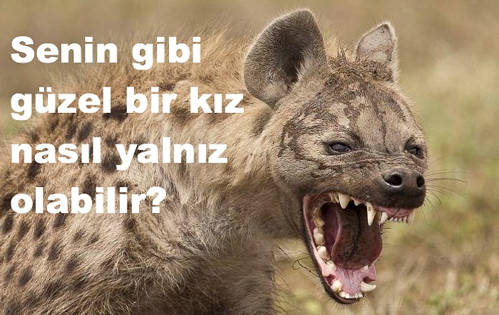 Bir Erkeğin Azılı Bir 'Sırtlan' Olduğunu Ortaya Çıkaran 17 Cümle