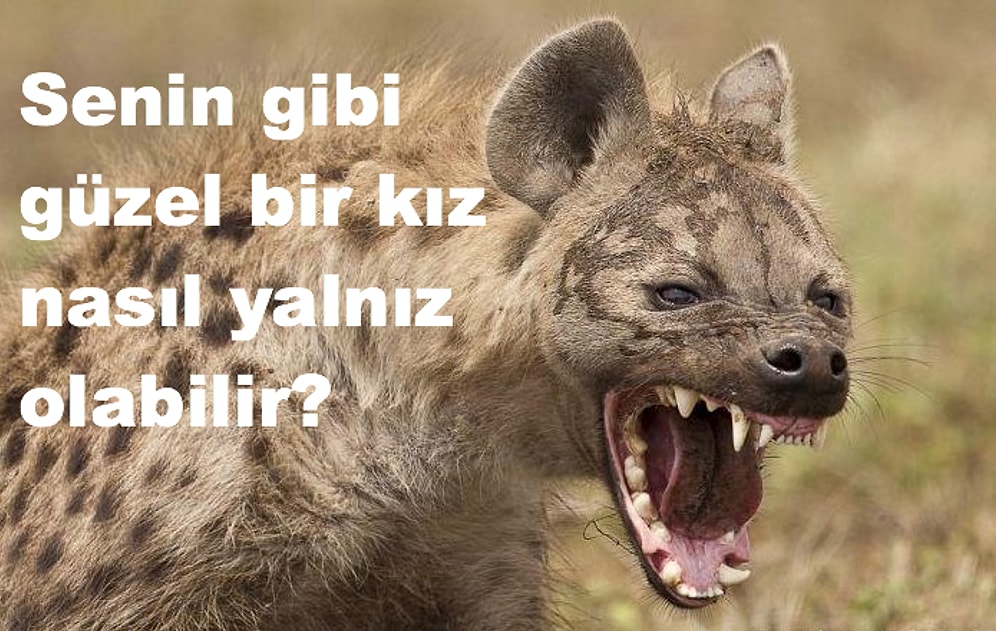 Bir Erkeğin Azılı Bir 'Sırtlan' Olduğunu Ortaya Çıkaran 17 Cümle