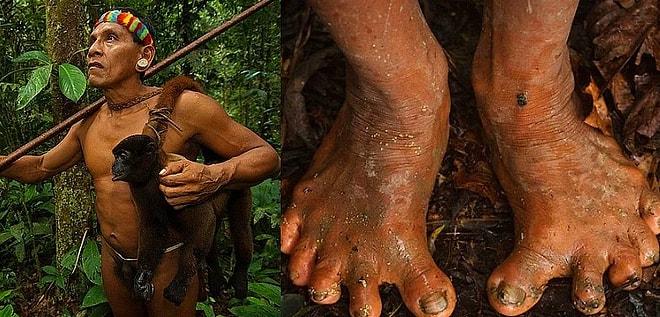 Ormanda Yalın Ayak Gezen ve İlkel Silahlarıyla Primat Avlayıp Yiyen Amazon Kabilesi